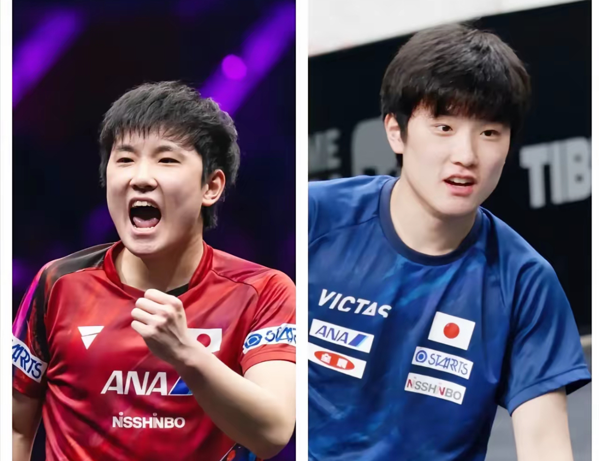 关于波兰队碾压日本队，张本智和惊艳四座的信息