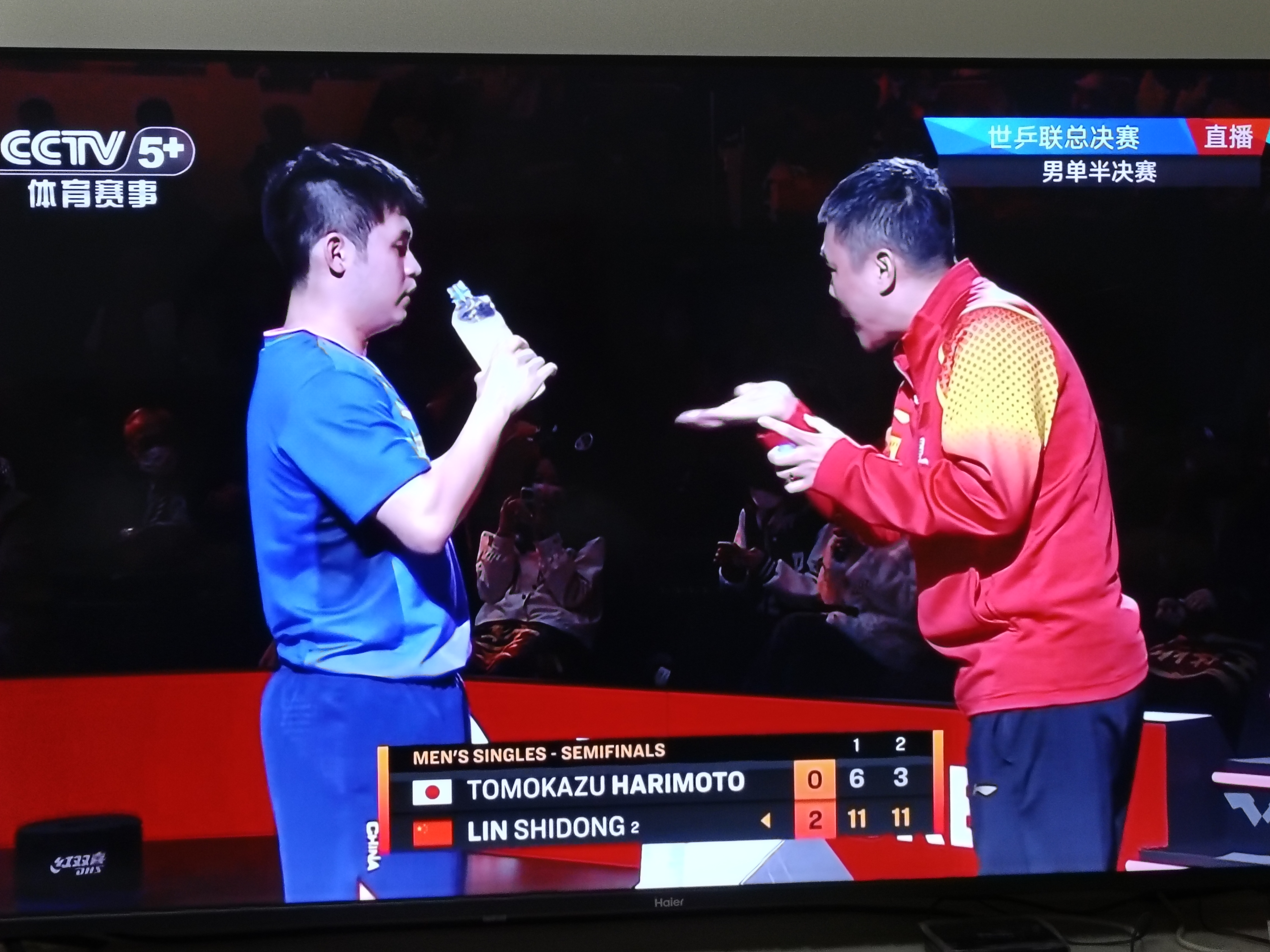 关于波兰队碾压日本队，张本智和惊艳四座的信息