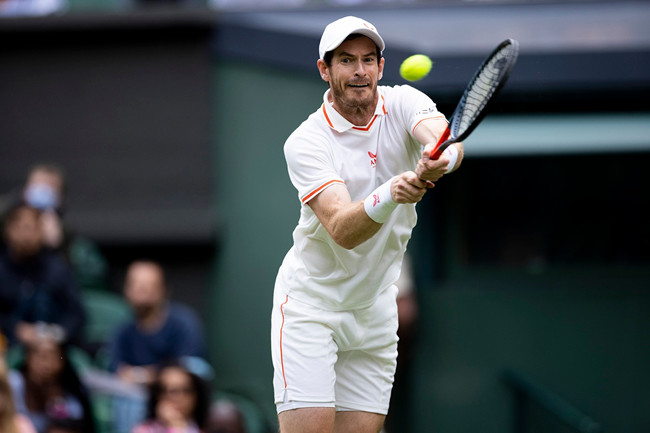 包含温网横扫拉沃尔杯，穆雷状态火热的词条