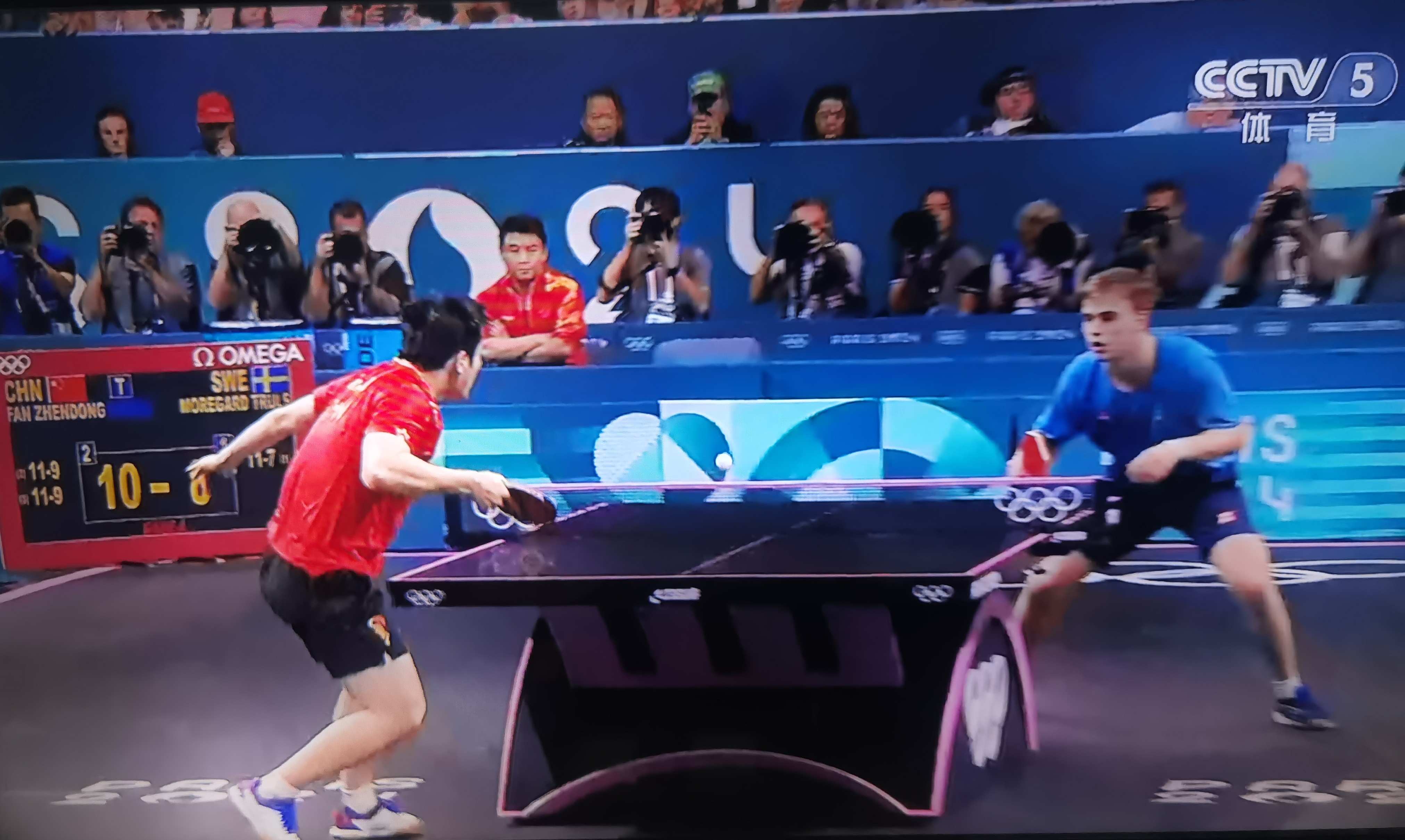 关于英国乒乓球队绝杀比利时乒乓球队，樊振东制霸全场的信息