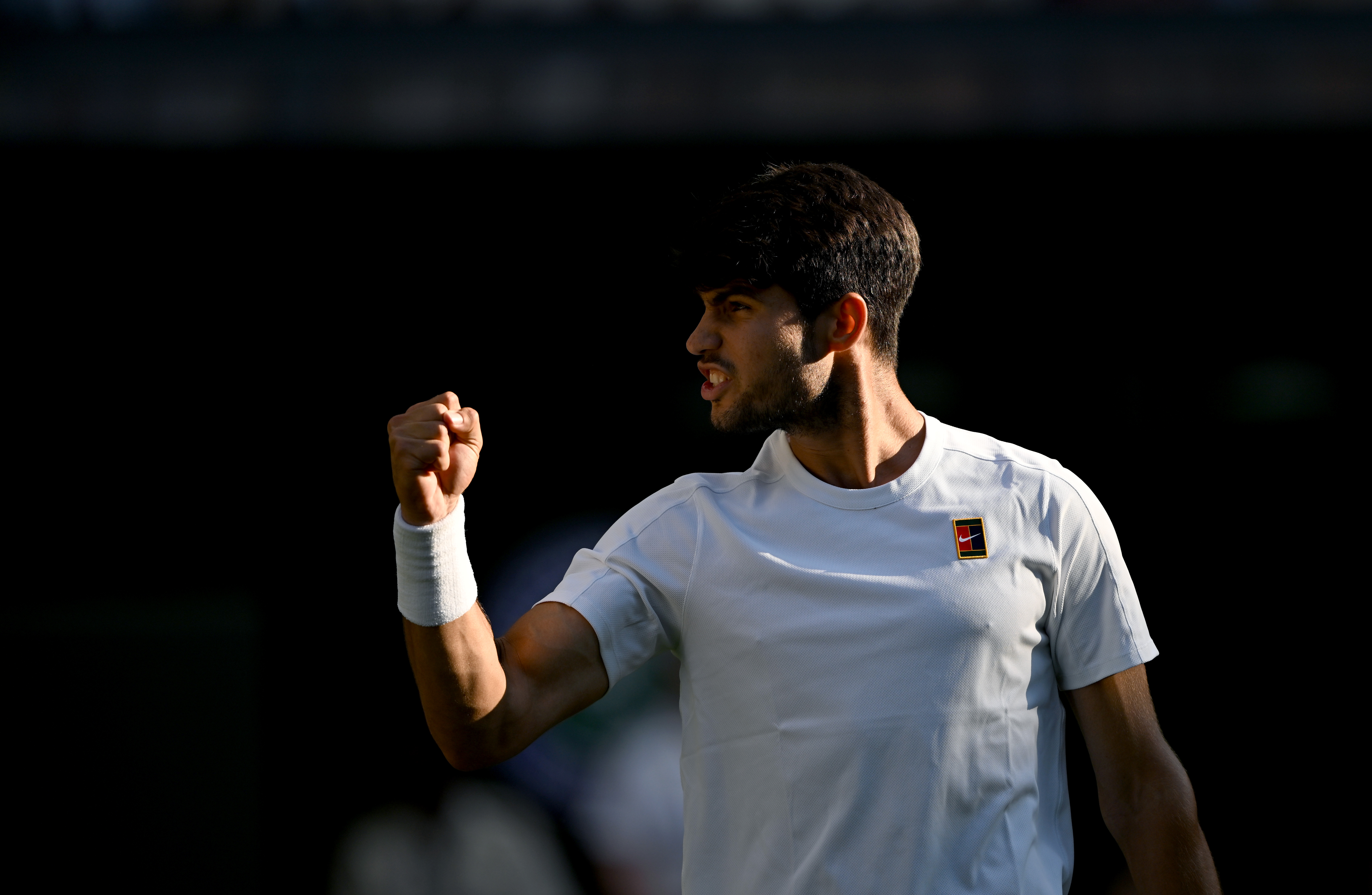 温网碾压戴维斯杯，阿尔卡拉斯高光表现的简单介绍