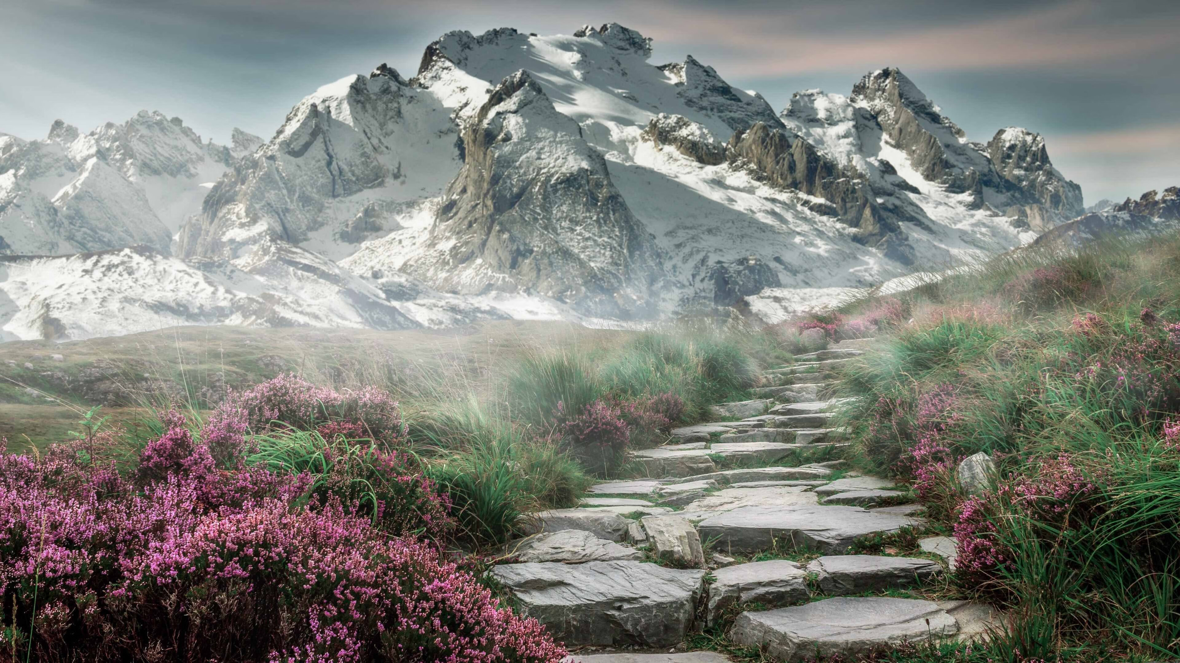 东方铁骑鏖战绿衫军，字母哥用实力打破质疑—辽宁队与凯尔特人的跨洋对决启示录